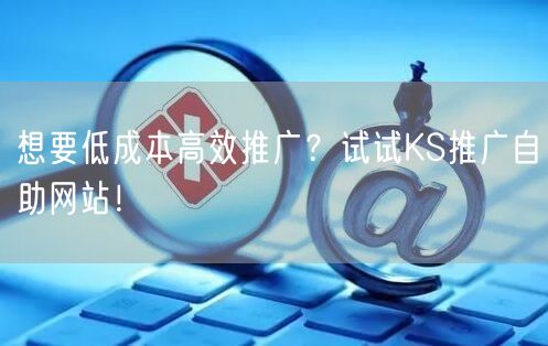 想要低成本高效推广？试试KS推广自助网站！